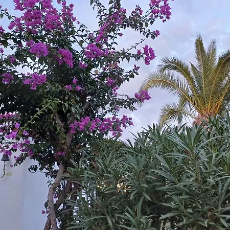 Casa Poema Montepego